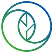 Original Consultants Ltd